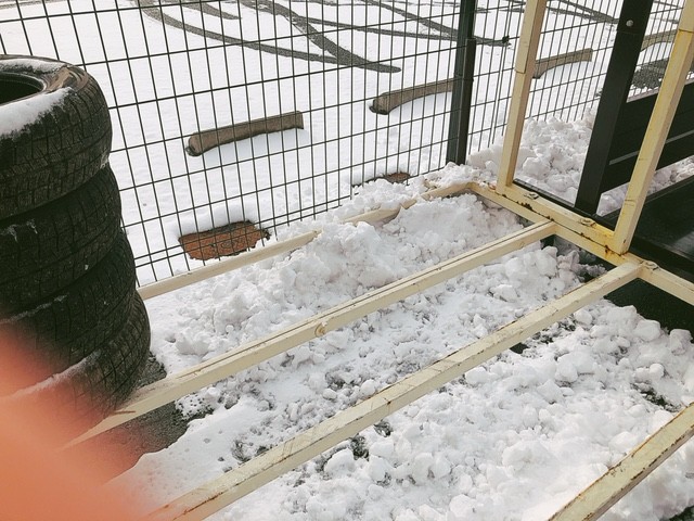 スタッフ撮影
