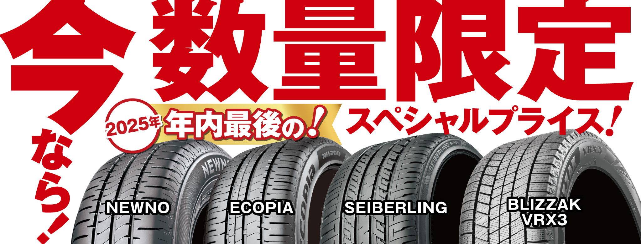 ecopia_newno_seiberling