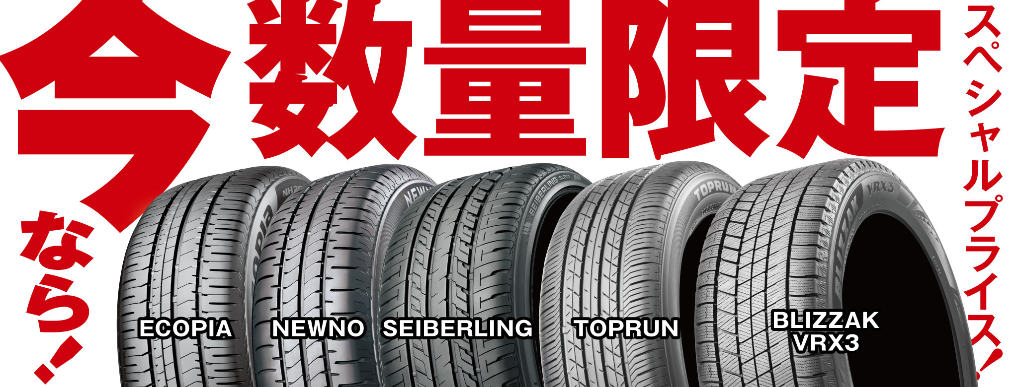 ecopia_newno_seiberling